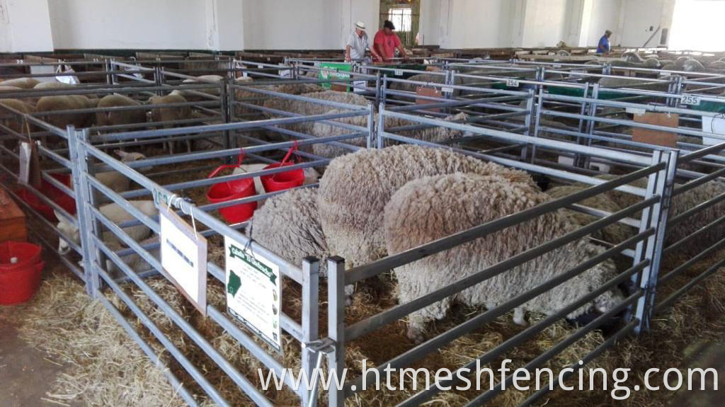 tubular Livestock gate SHEEP HURDLE with interlocking loops to join together FULLY WELDED